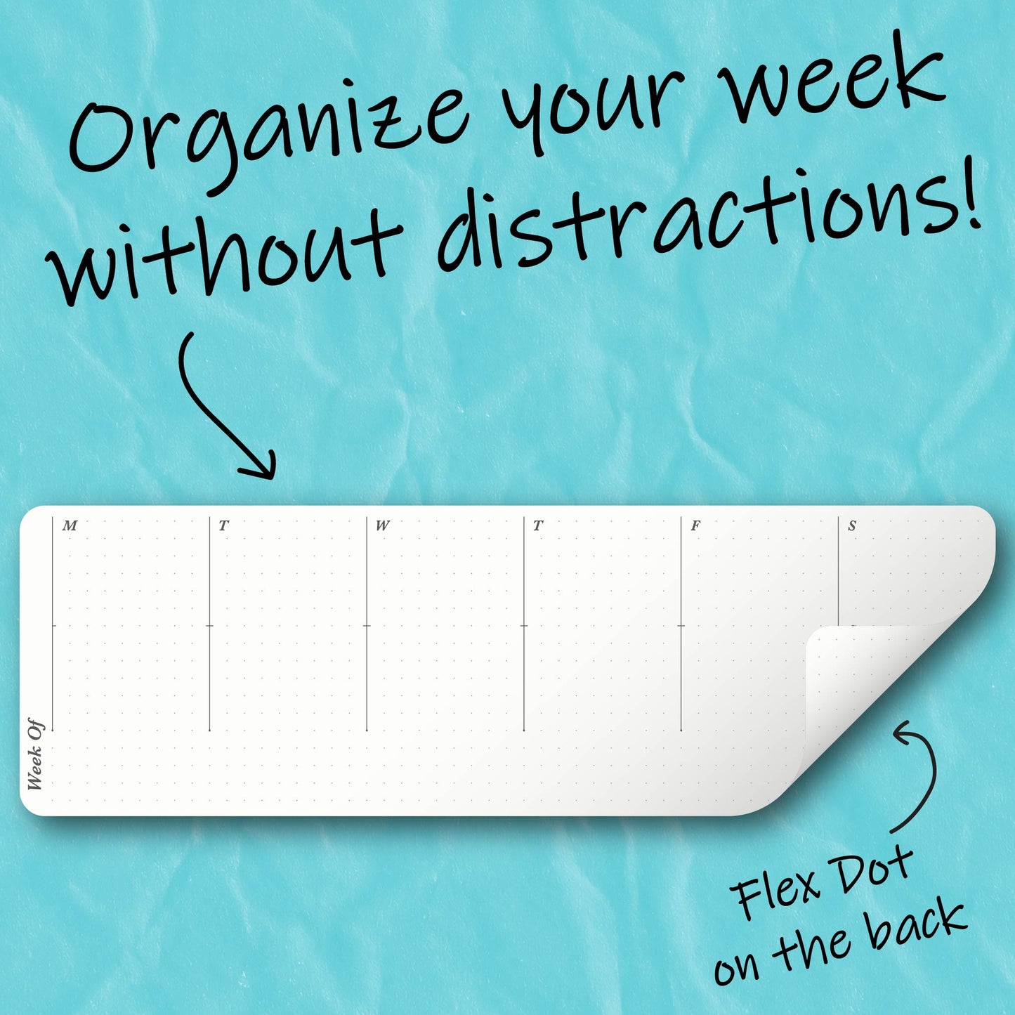 Focus Weekly (4-Pack)